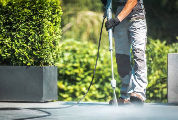 Boat and Dock Cleaning in Goodhue, MN